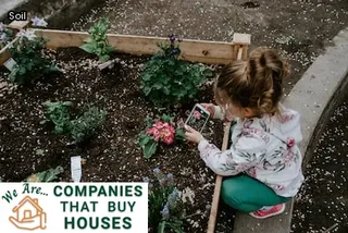 how to get termites out of your house