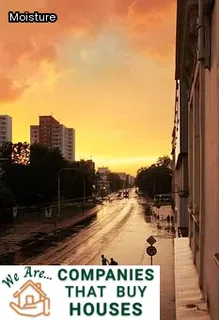 equipment needed for water restoration