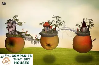 small black bug in house