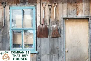 little tiny black bugs in bed