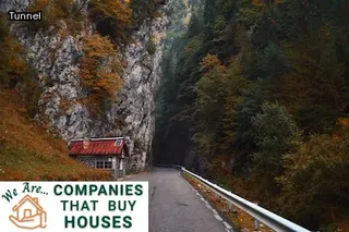 termite damaged house