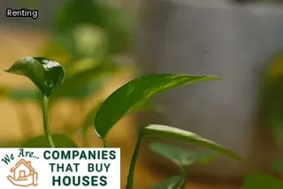 losing money on rental property