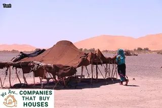 house tenting for termites cost