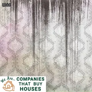 water leak ceiling repair cost