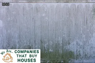 can a house be condemned for mold