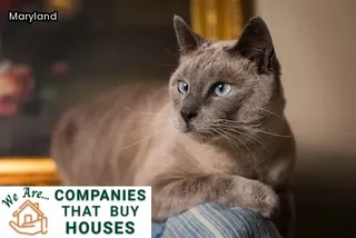 how to sell your house without a realtor